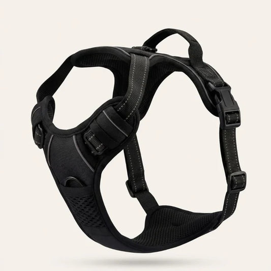 PawLuxe™ | Harnais Anti-Traction Personnalisé Premium