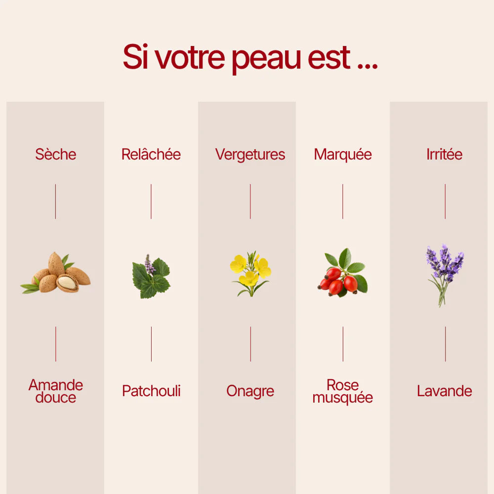 Retrouve une peau neuve. Plus lisse, plus ferme, plus lumineuse.