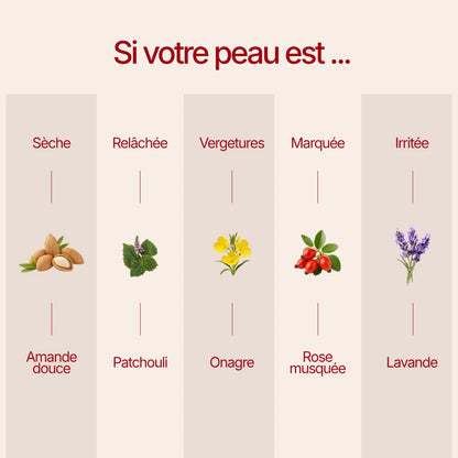 Retrouve une peau neuve. Plus lisse, plus ferme, plus lumineuse.